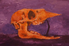 Still life (Skull and Stick) - 2018 - Acrylic on Canvas - 30x50 cm