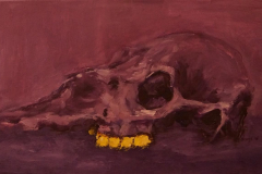 Still life (Skull with yellow teeth) - 2018 - Acrylic on Canvas - 30x50 cm