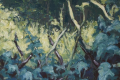 Nature(Thicket) 6 - 2020 - Acrylic on Canvas - 50x60 cm