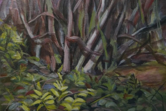 Nature (Thicket) 11 - 2021 - Acrylic on Canvas - 40x40 cm