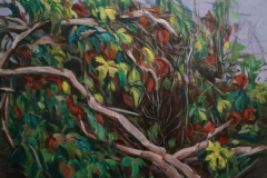 Nature (Thicket) 12 - 2021 - Acrylic on Canvas - 45x60 cm