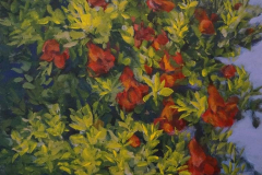 Nature (Thicket) 17 - 2022 - Acrylic on Canvas - 40x40 cm